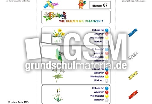 Kl-Blumen 07.pdf